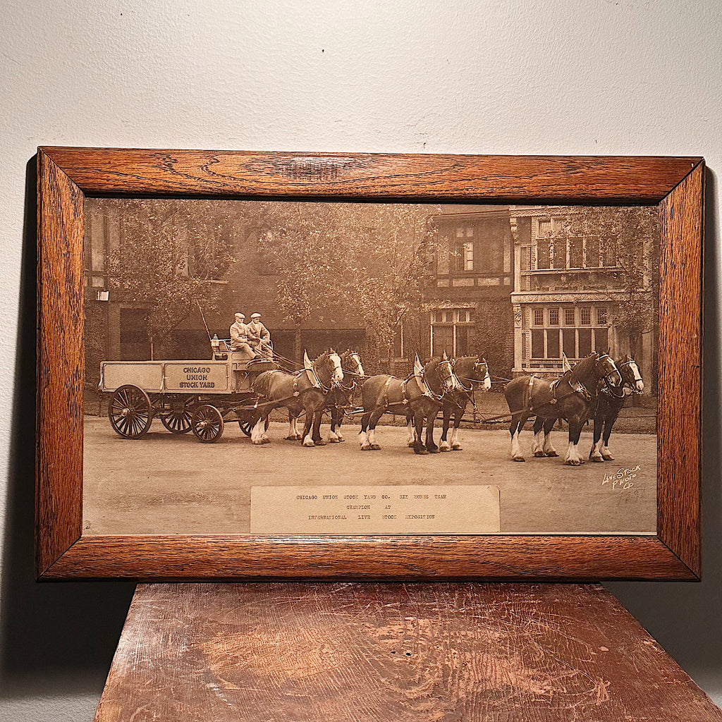 1920s Chicago Union Stock Yard Champion Six Horse Team Photograph - International Livestock Exposition - 22” x 14” - Clydesdales History