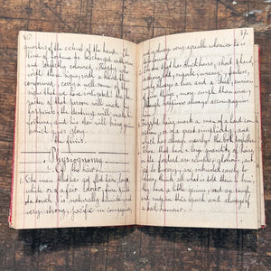 1800s Occult Handwritten Translation of Palmistry Physiognomy Astrology