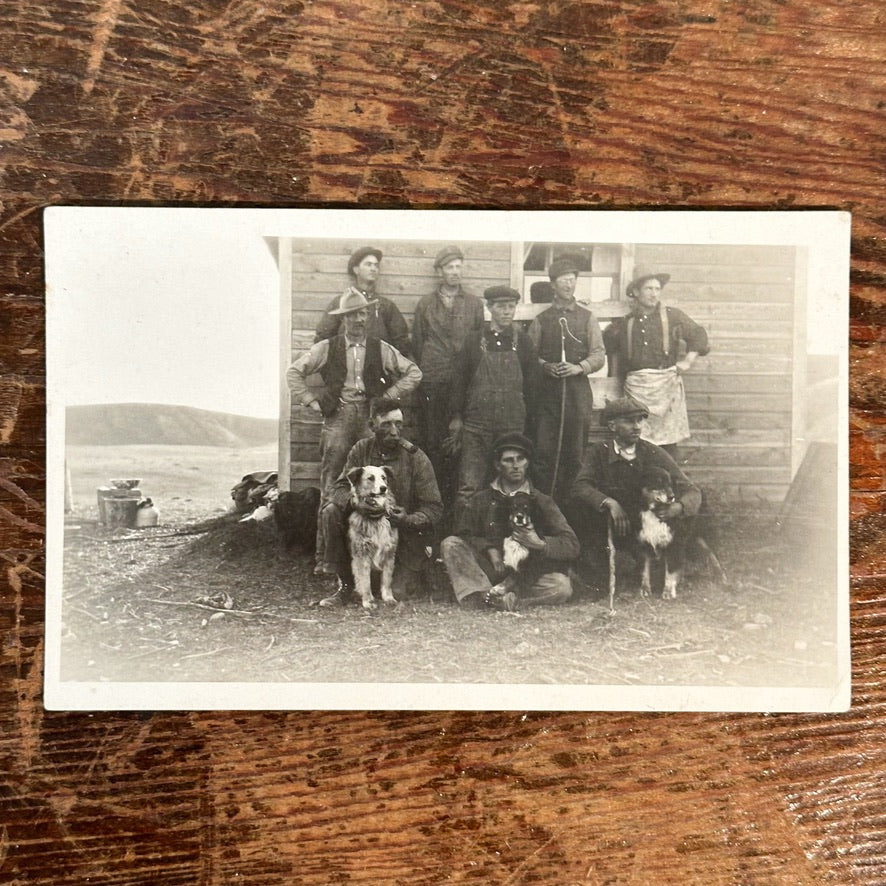 Antique Postcard Set of Workers with Dogs | Denim Workwear