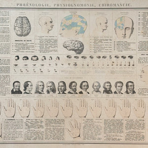 19th Century Phrenology Lithograph Poster from France | 1800s