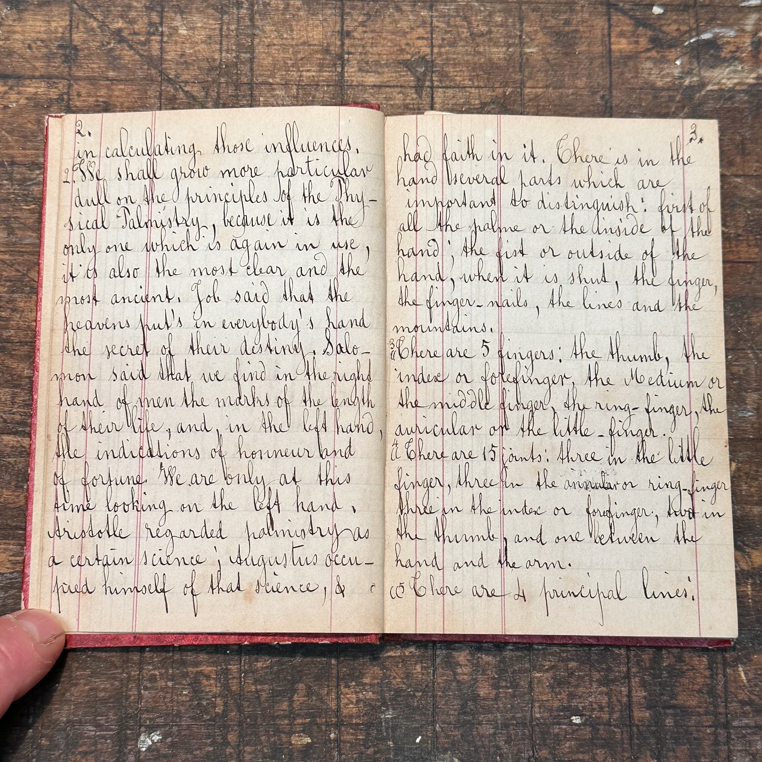 1800s Occult Handwritten Translation of Palmistry Physiognomy Astrology