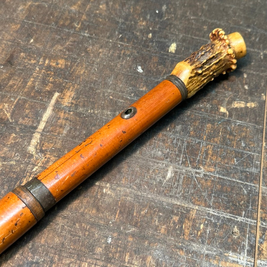 1800s Sword Cane with Stag Horn Handle | Dagger Walking Stick