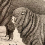 19th Century Merino Sheep Drawing by Luther Frank Webster | Vermont