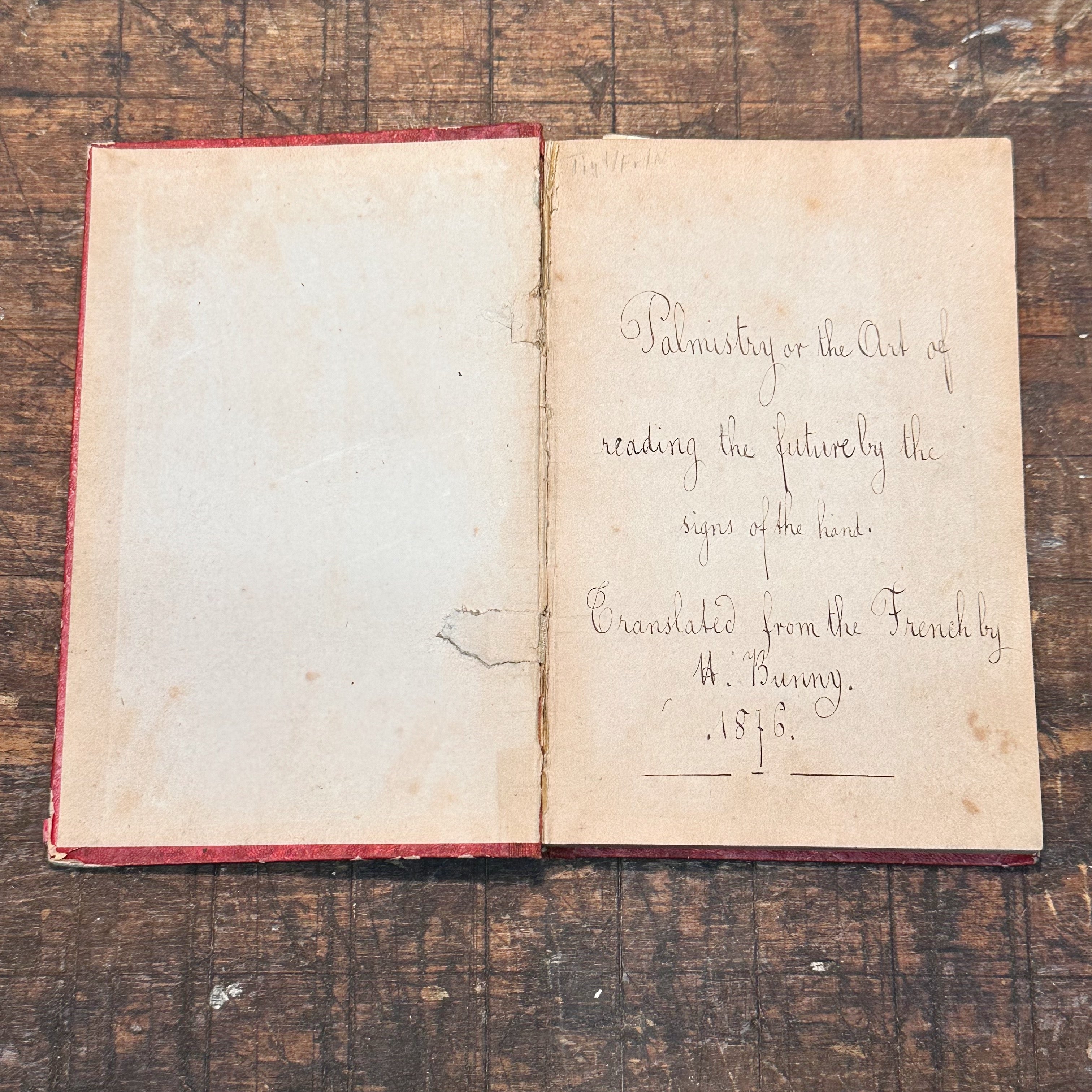 1800s Occult Handwritten Translation of Palmistry Physiognomy Astrology