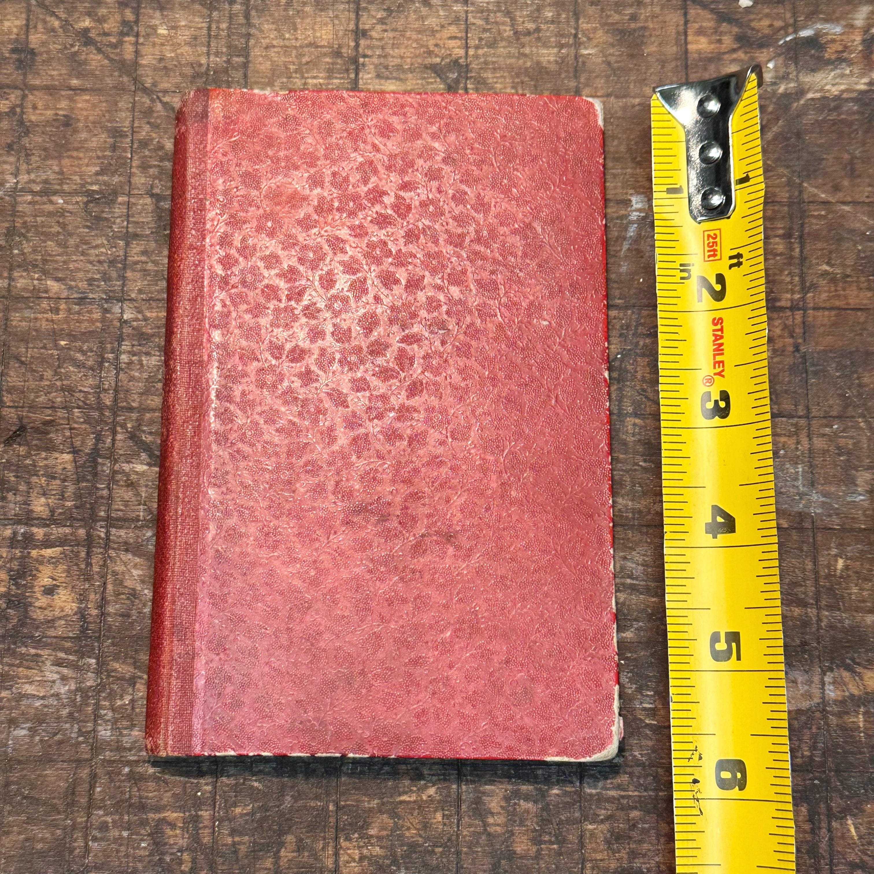 1800s Occult Handwritten Translation of Palmistry Physiognomy Astrology