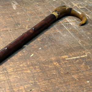 Antique Ibis Horn Walking Cane with Montreal Markings