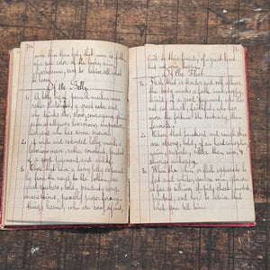 1800s Occult Handwritten Translation of Palmistry Physiognomy Astrology