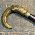 Antique Ibis Horn Walking Cane with Montreal Markings