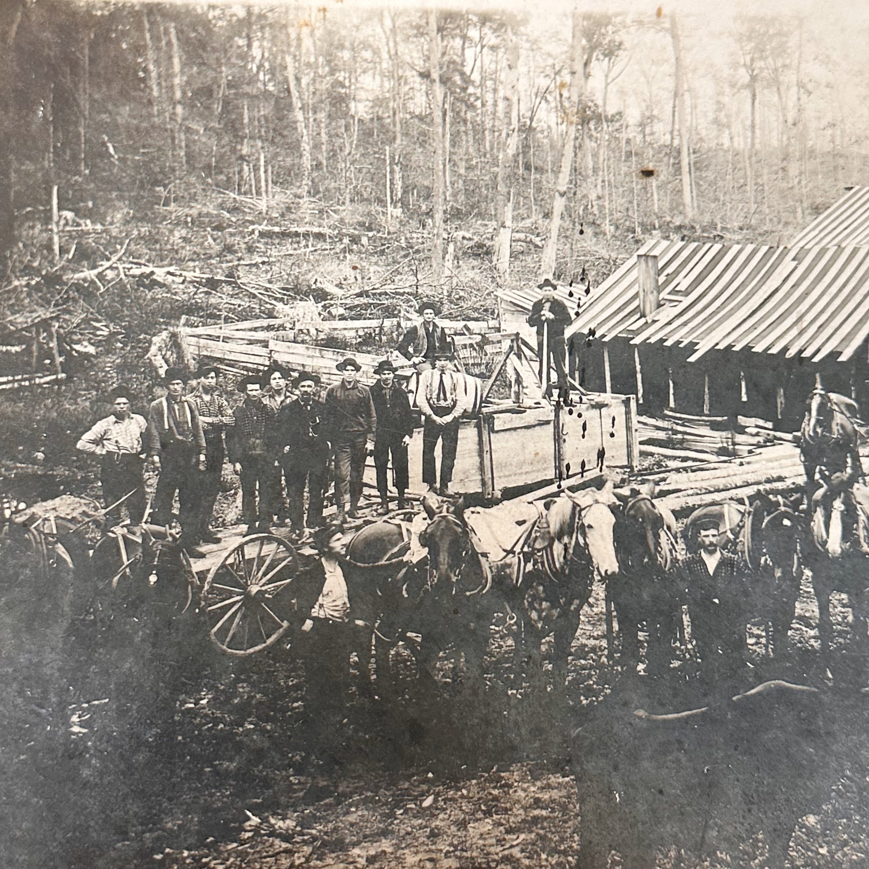 Antique Logging Camp Photograph from Turn of the Century
