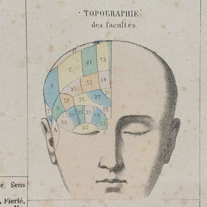 19th Century Phrenology Lithograph Poster from France - Basic Elements of Phrenology Physiognomy Palmistry - Rare Antique Occult Art