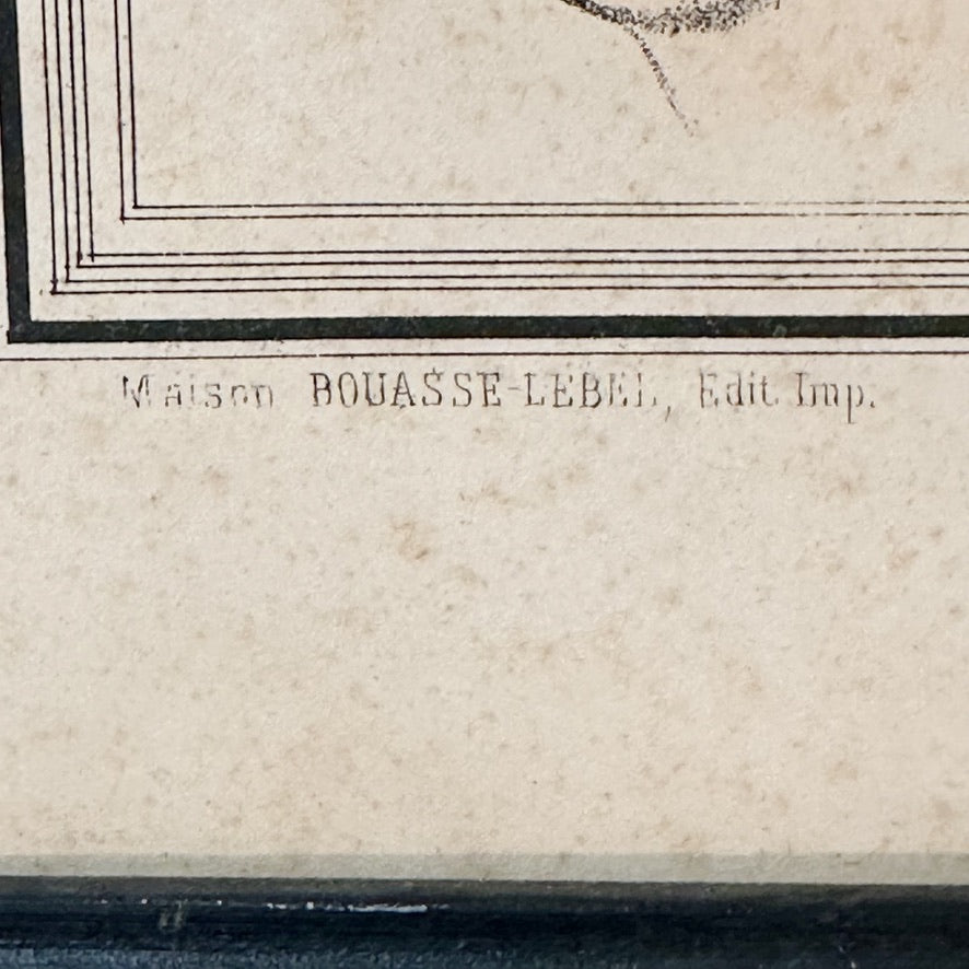 19th Century Phrenology Lithograph Poster from France | 1800s