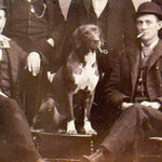 Antique Cabinet Card of Dog Smoking a Pipe | Wisconsin