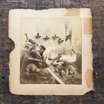 Antique Taxidermy Photograph from 1892 | Victorian Display