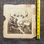 Antique Taxidermy Photograph from 1892 | Victorian Display