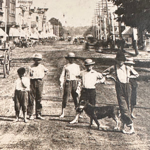 1800s Cabinet Card of Gang of Barefoot Kids on Main Street- Dated 1884 - Americana - Elkhart Indiana -LIttle Rascals - Panoramic 7” x 11”