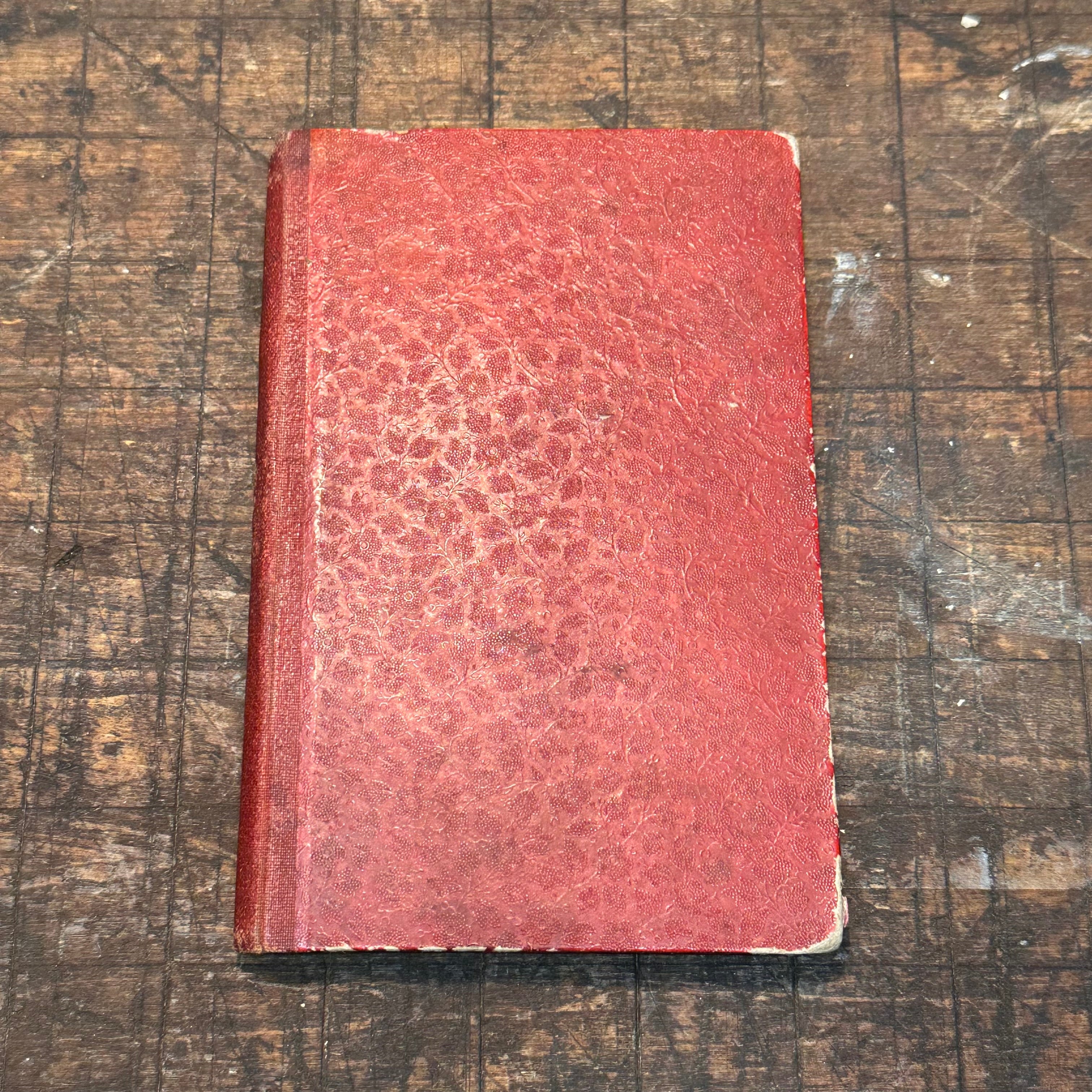 1800s Occult Handwritten Translation of Palmistry Physiognomy Astrology