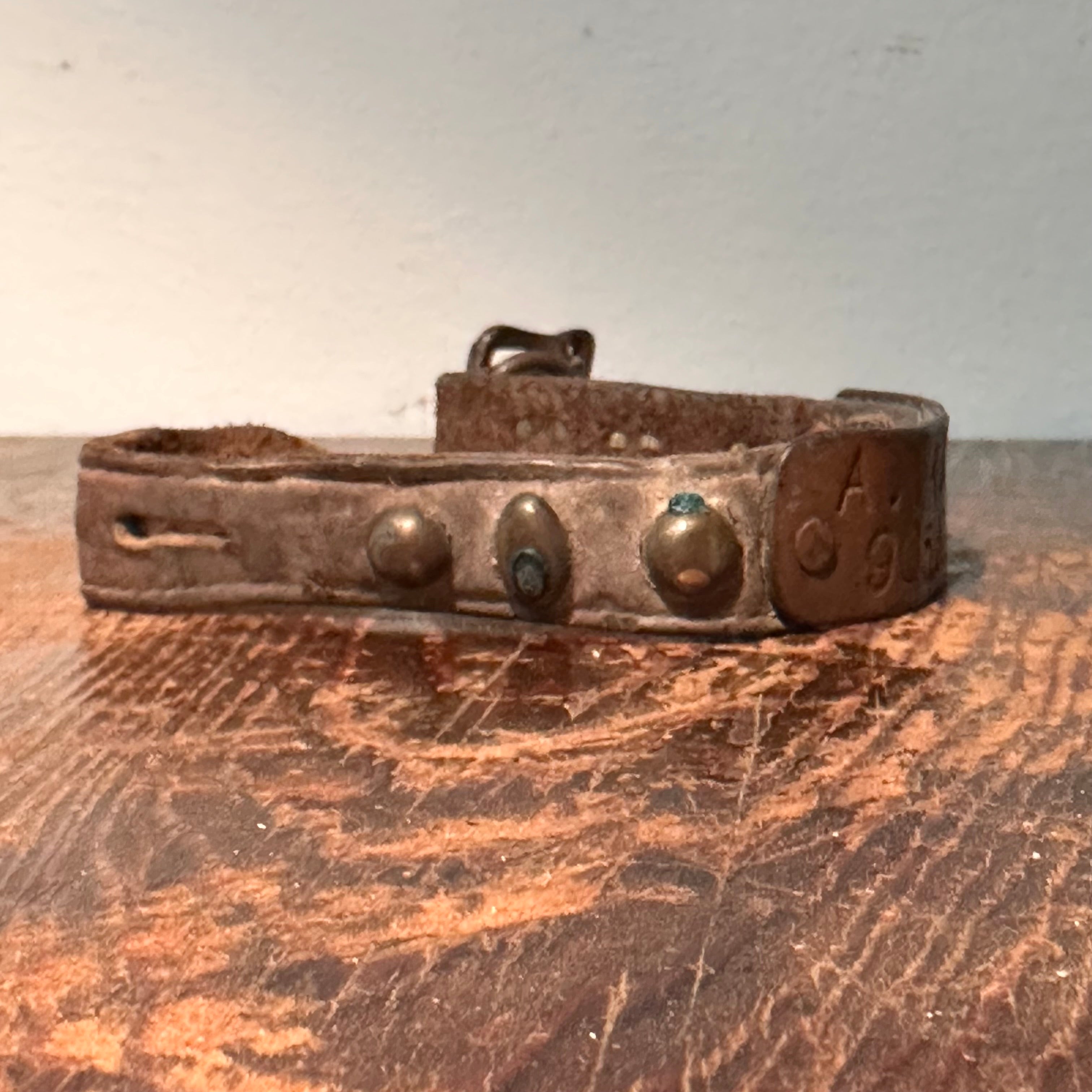 Antique Dog Collar with New Jersey History | A. Van Syckel