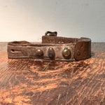 Antique Dog Collar with New Jersey History | A. Van Syckel