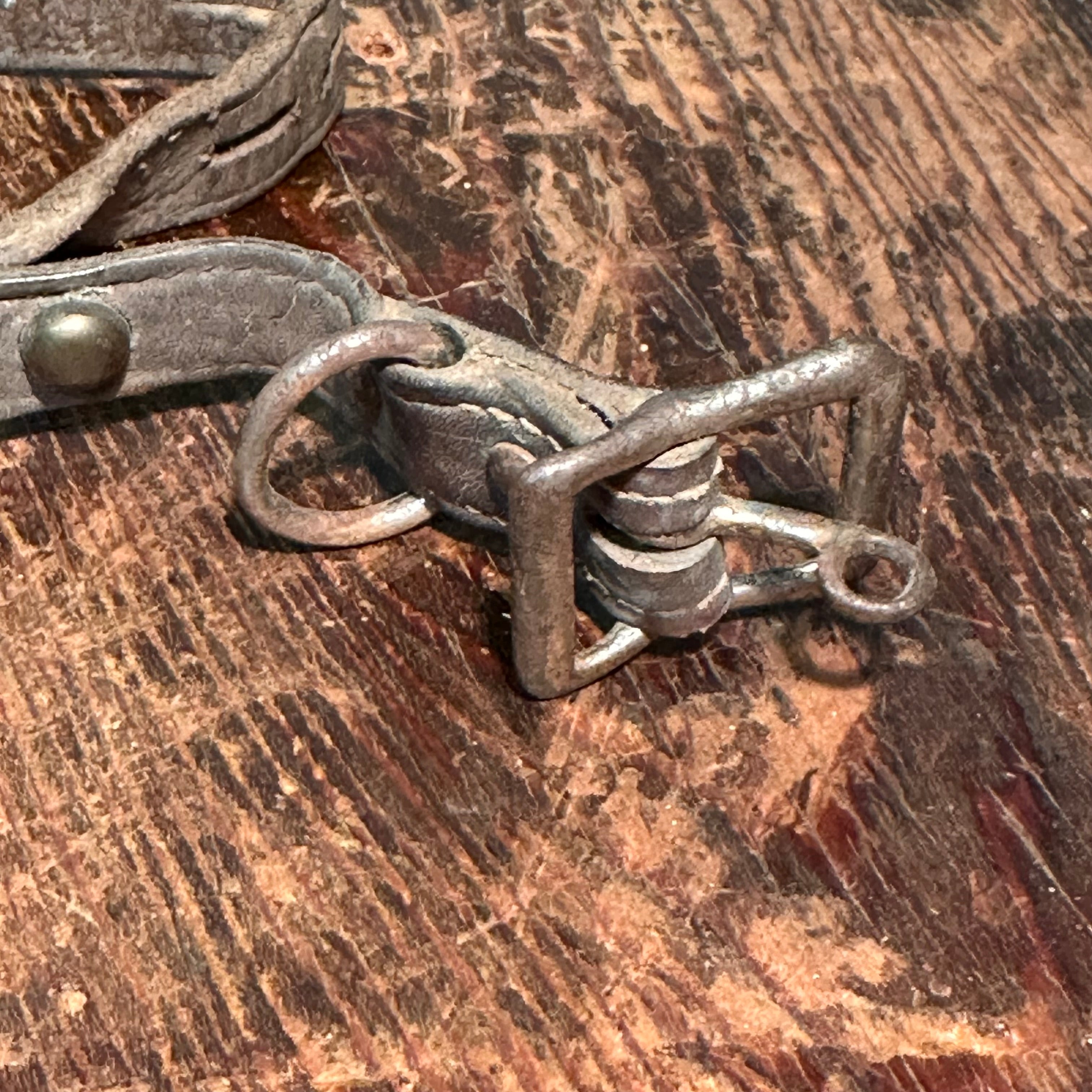 Antique Dog Collar with New Jersey History | A. Van Syckel