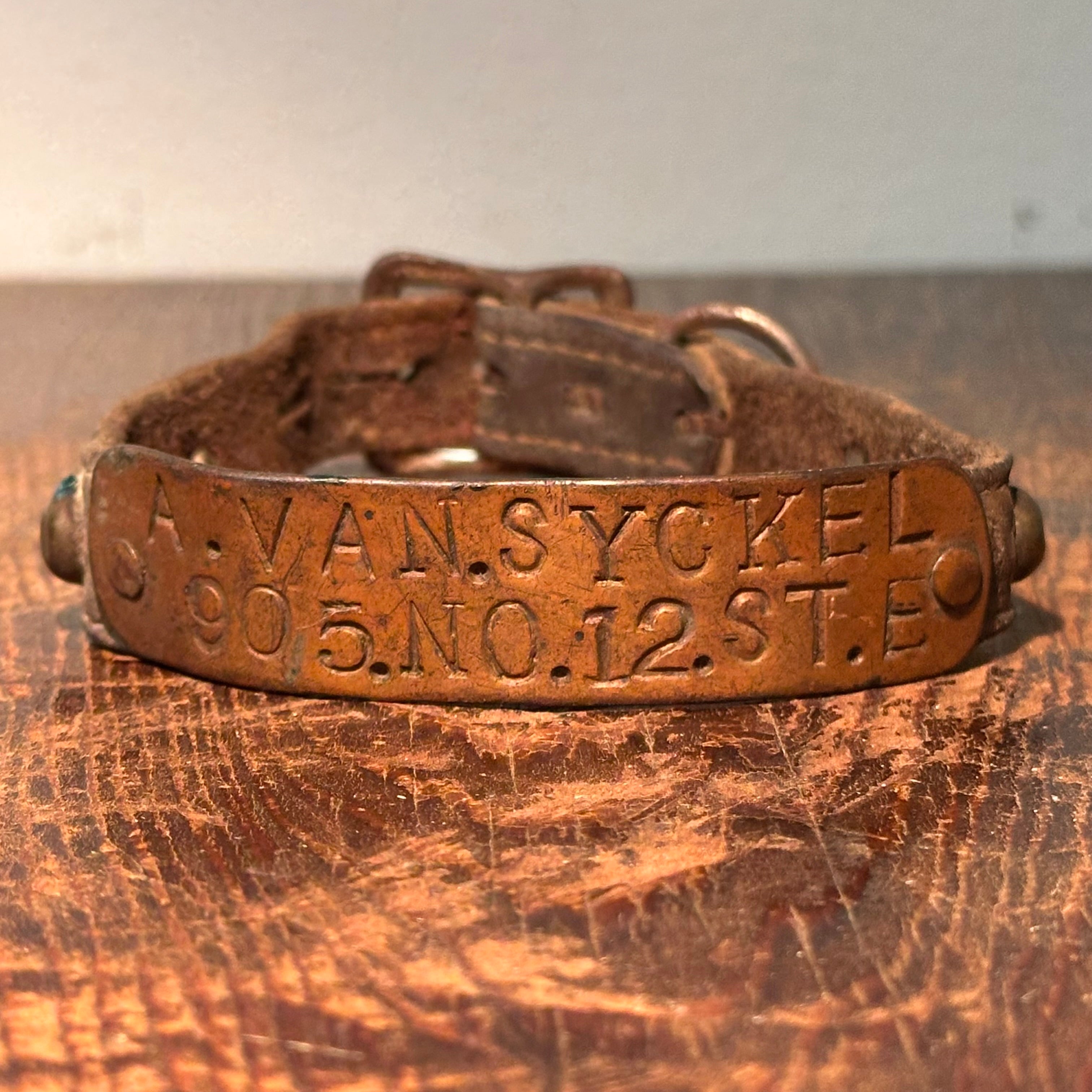 Antique Dog Collar with New Jersey History | A. Van Syckel