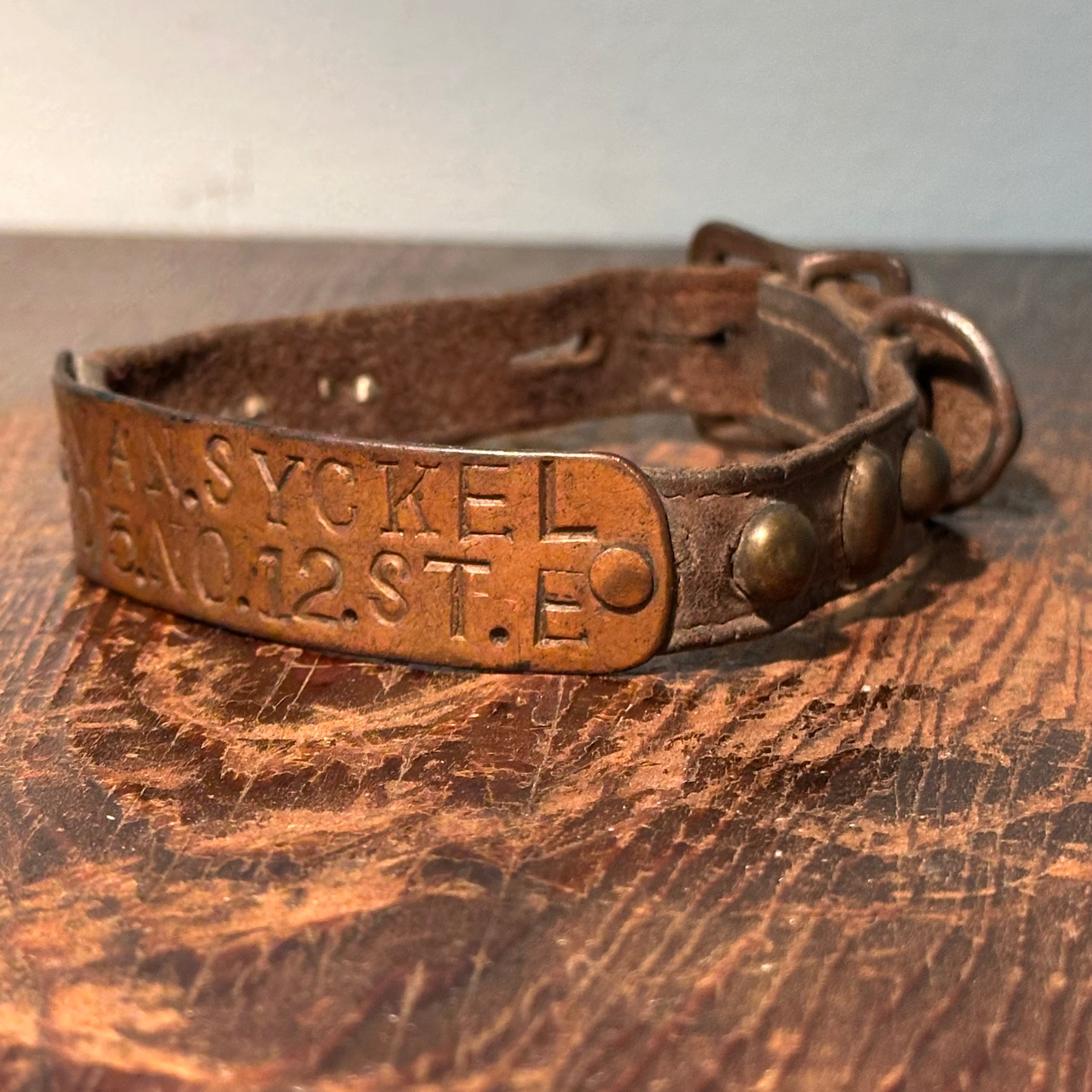 Antique Dog Collar with New Jersey History | A. Van Syckel