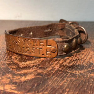 Antique Dog Collar with New Jersey History | A. Van Syckel
