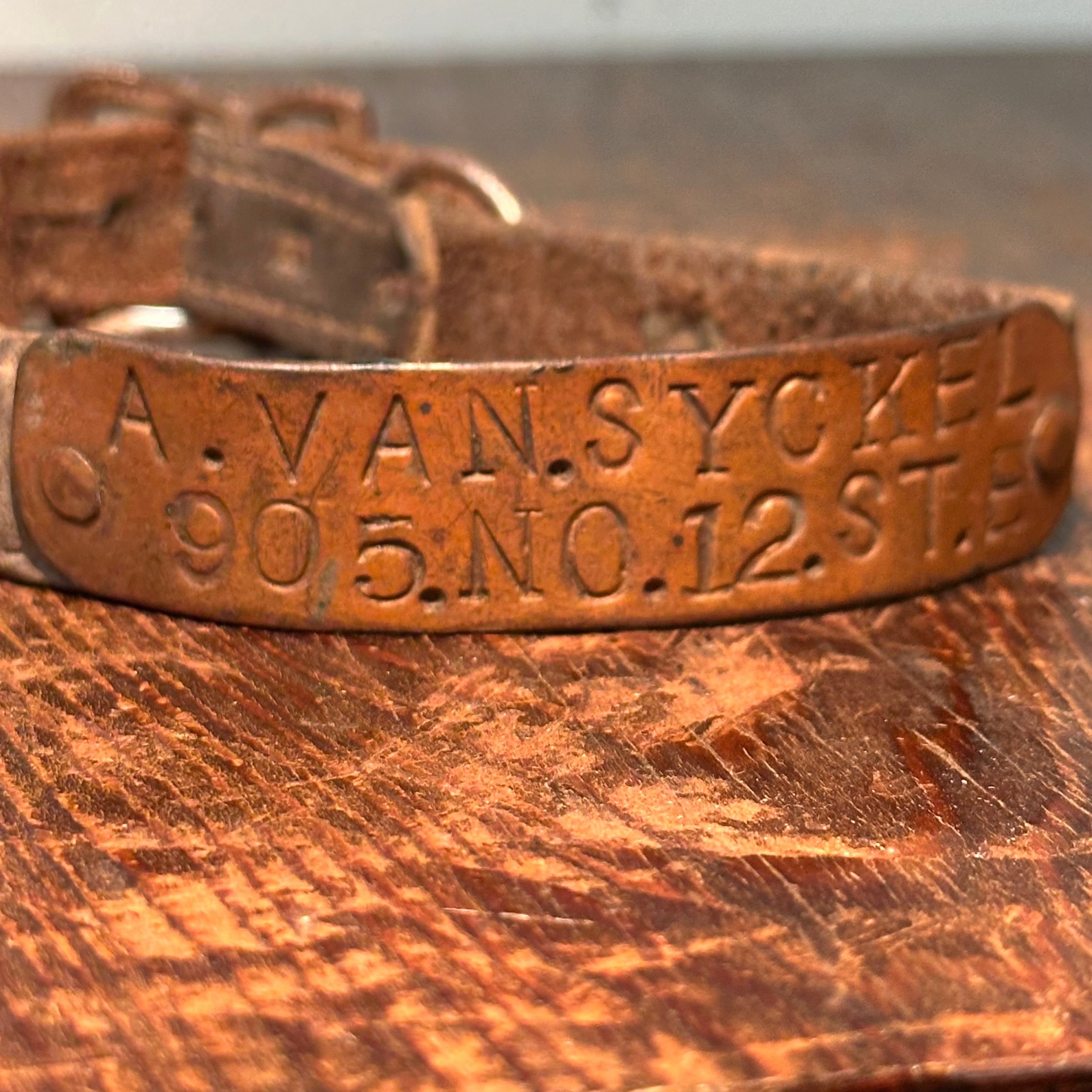 Antique Dog Collar with New Jersey History | A. Van Syckel