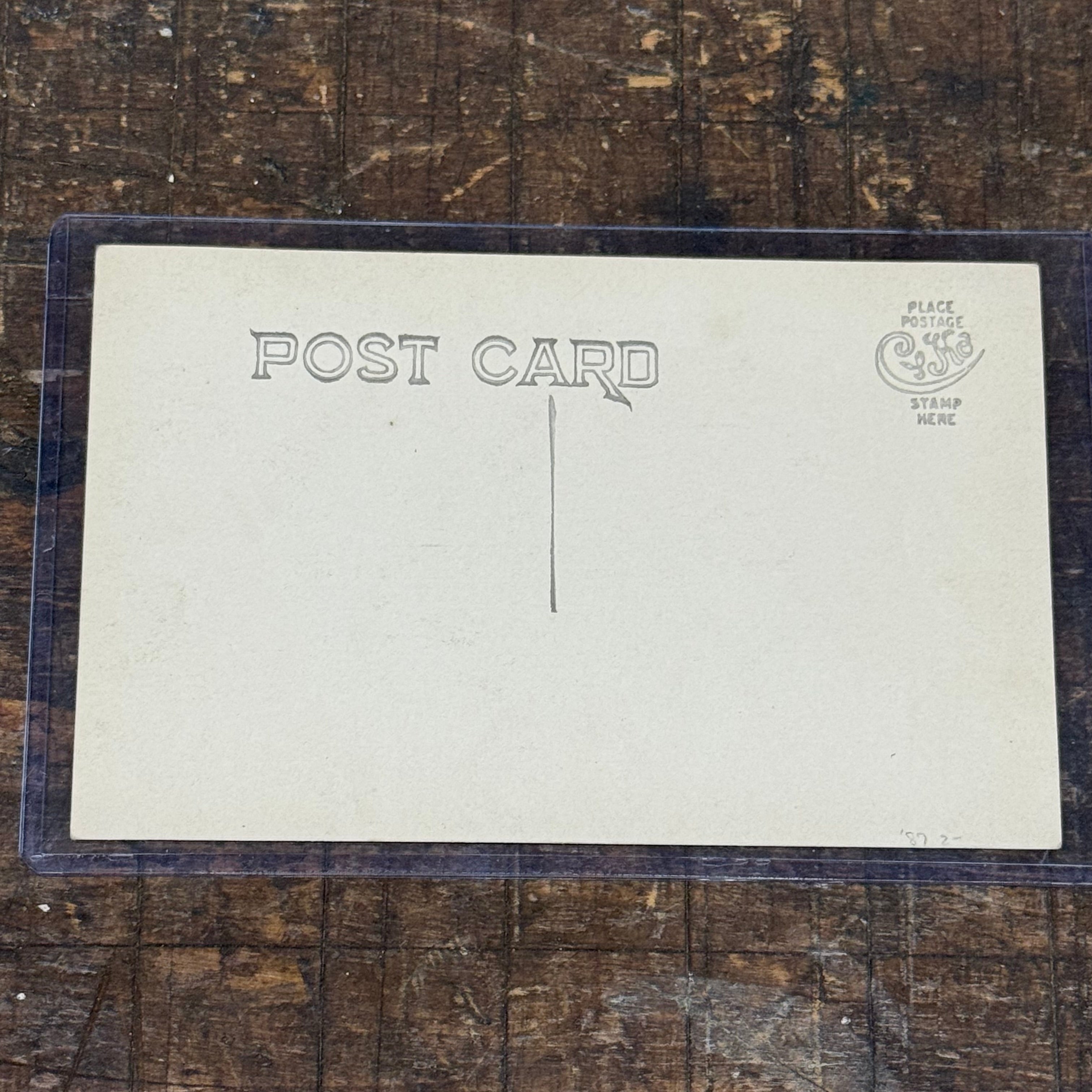Antique Palm Reader RPPC with Handwritten Details and Cards