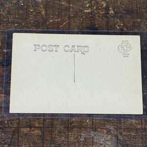 Antique Palm Reader RPPC with Handwritten Details and Cards