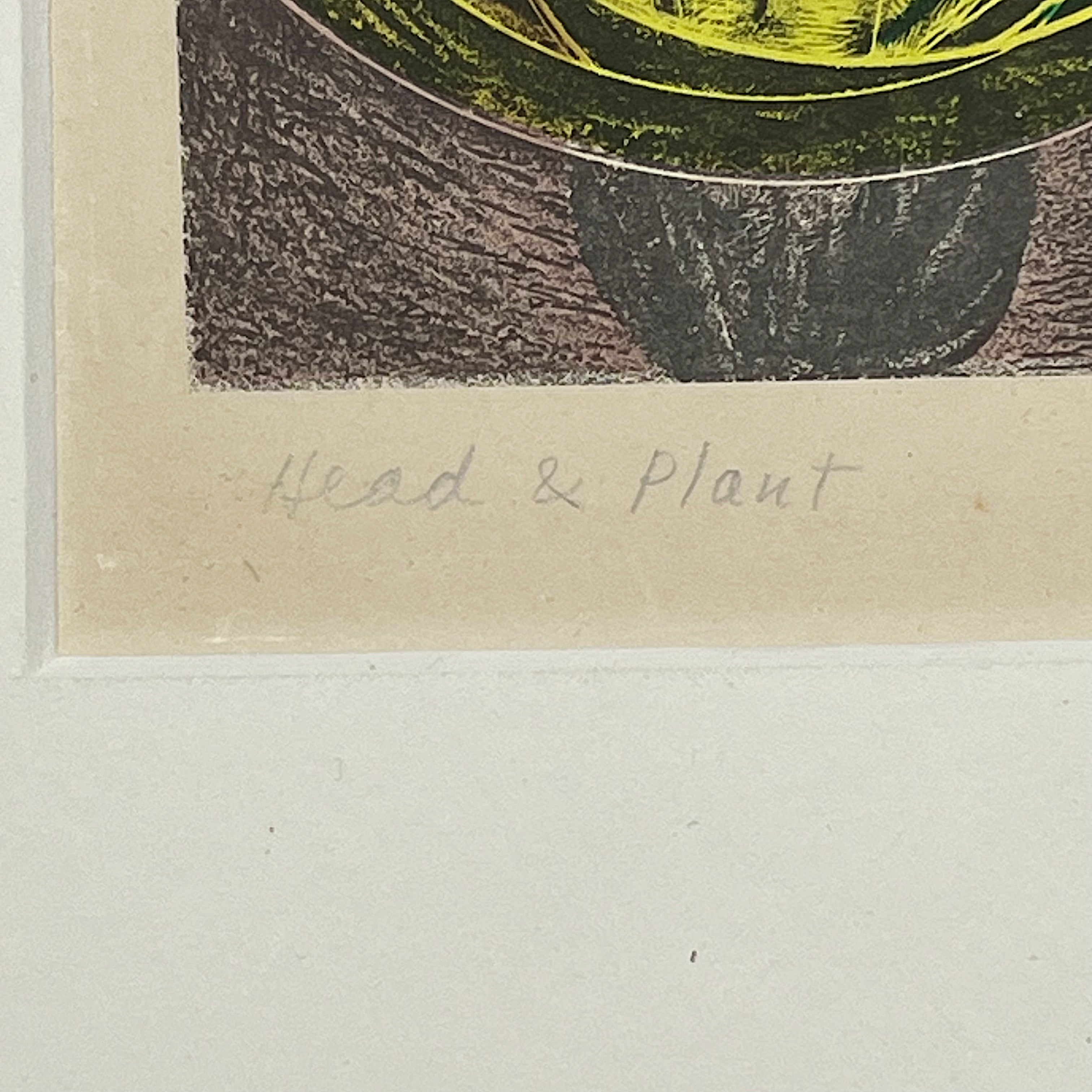 Maybelle Stamper Lithograph entitled "Head and Plant" 2/9 | 1952