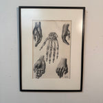 Vintage Anatomical Hand Sketch Charcoal Drawing | Dark Academia