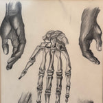 Vintage Anatomical Hand Sketch Charcoal Drawing Signed H.C.D. | Antique Medical Art | Dark Academia Decor | Skeletal Study