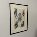 Vintage Anatomical Hand Sketch Charcoal Drawing | Dark Academia