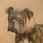 1920s English Bulldog Lithograph by Edward Herbert Miner