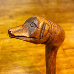19th Century Folk Art Walking Stick - Rare 1800s Dog Cane - Unusual Wood Carving - Lead Ferrule - Northeast Region -  Historical