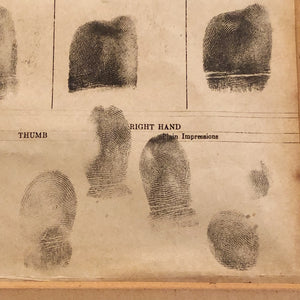 Prison Fingerprint Display from Panama Pacific Exposition | 1915