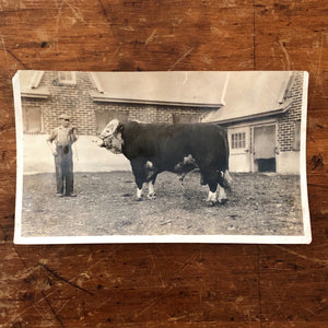 Antique Bovine Photograph Album from Early 1900s