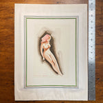 Warner Kreuter Pinup Nude Artwork | 1950s Illustration