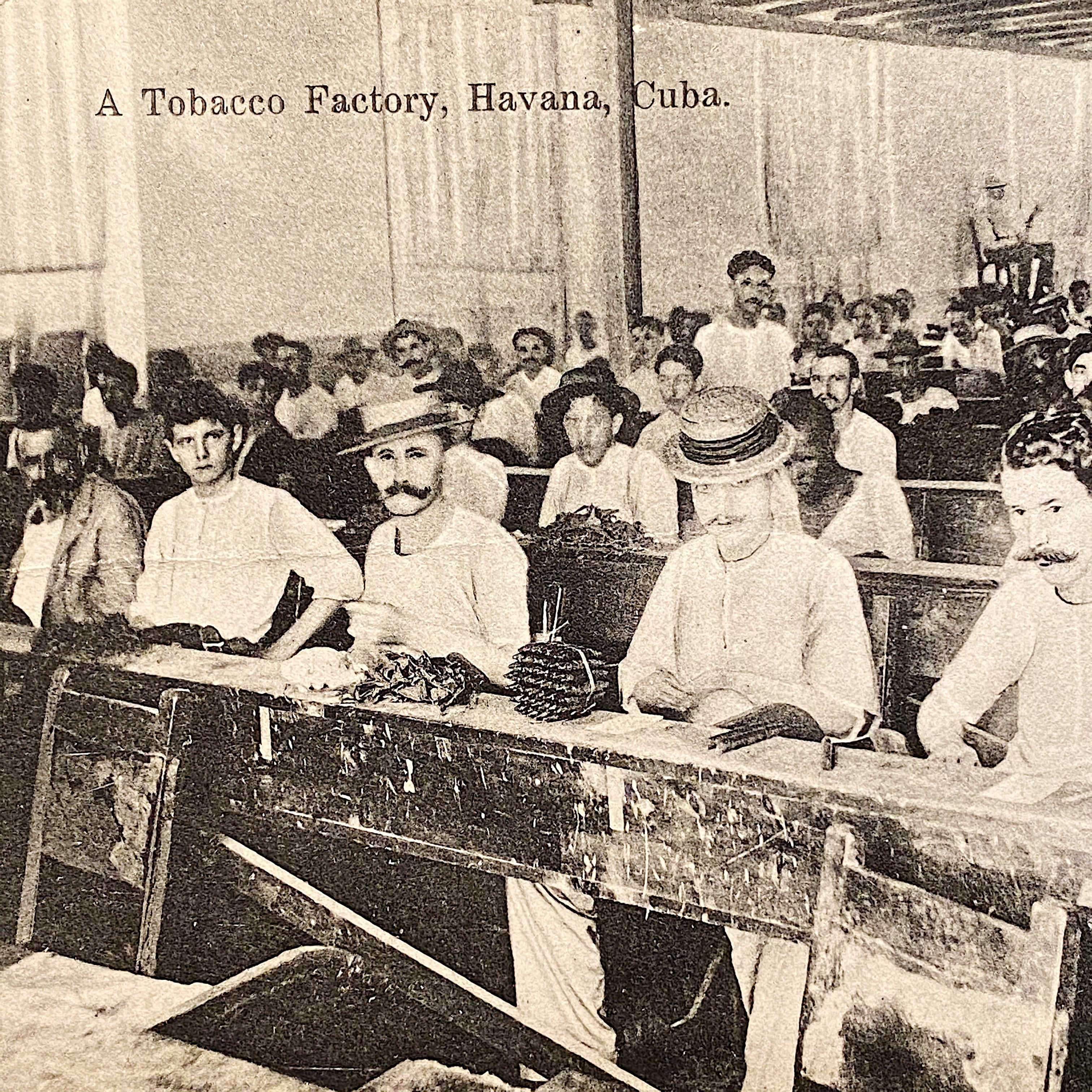 Antique RPPC of Cigar Factory - Early 1900s Tobacciana Postcards - Foreign Country Color Postcard - Rare Photography from Early 1900s