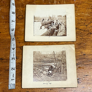 Reserved for C - Antique Logging Photographs from 1860s