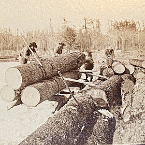 Reserved for C - Antique Logging Photographs from 1860s