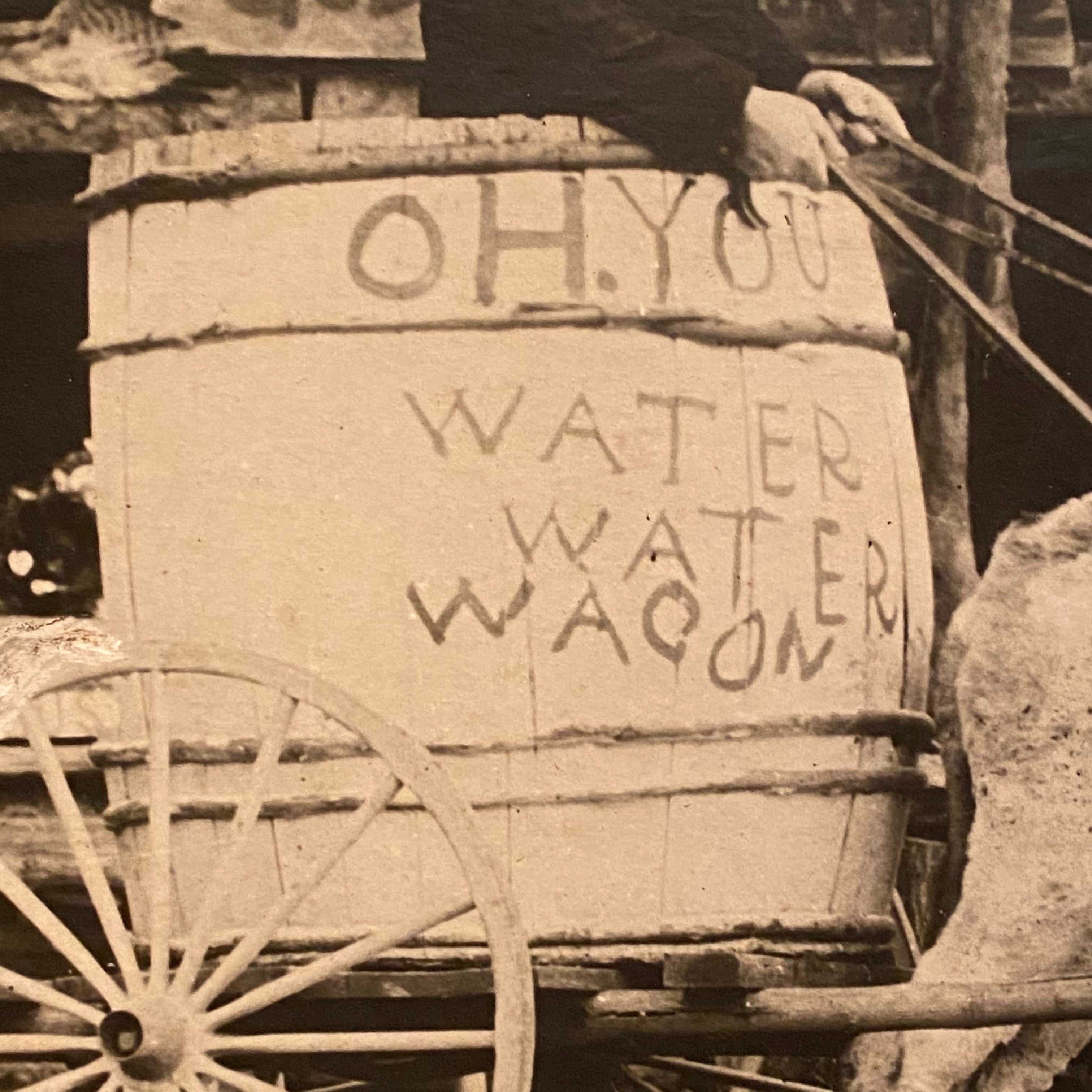 Temperance Movement Water Wagon Prohibition