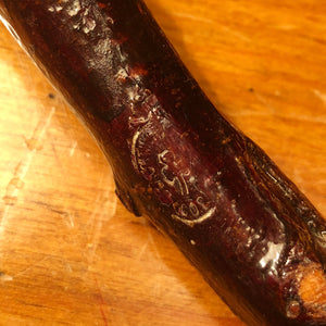 Vintage Blackthorn Shillelagh Walking Stick Cane - Shamrock Maker's Mark 