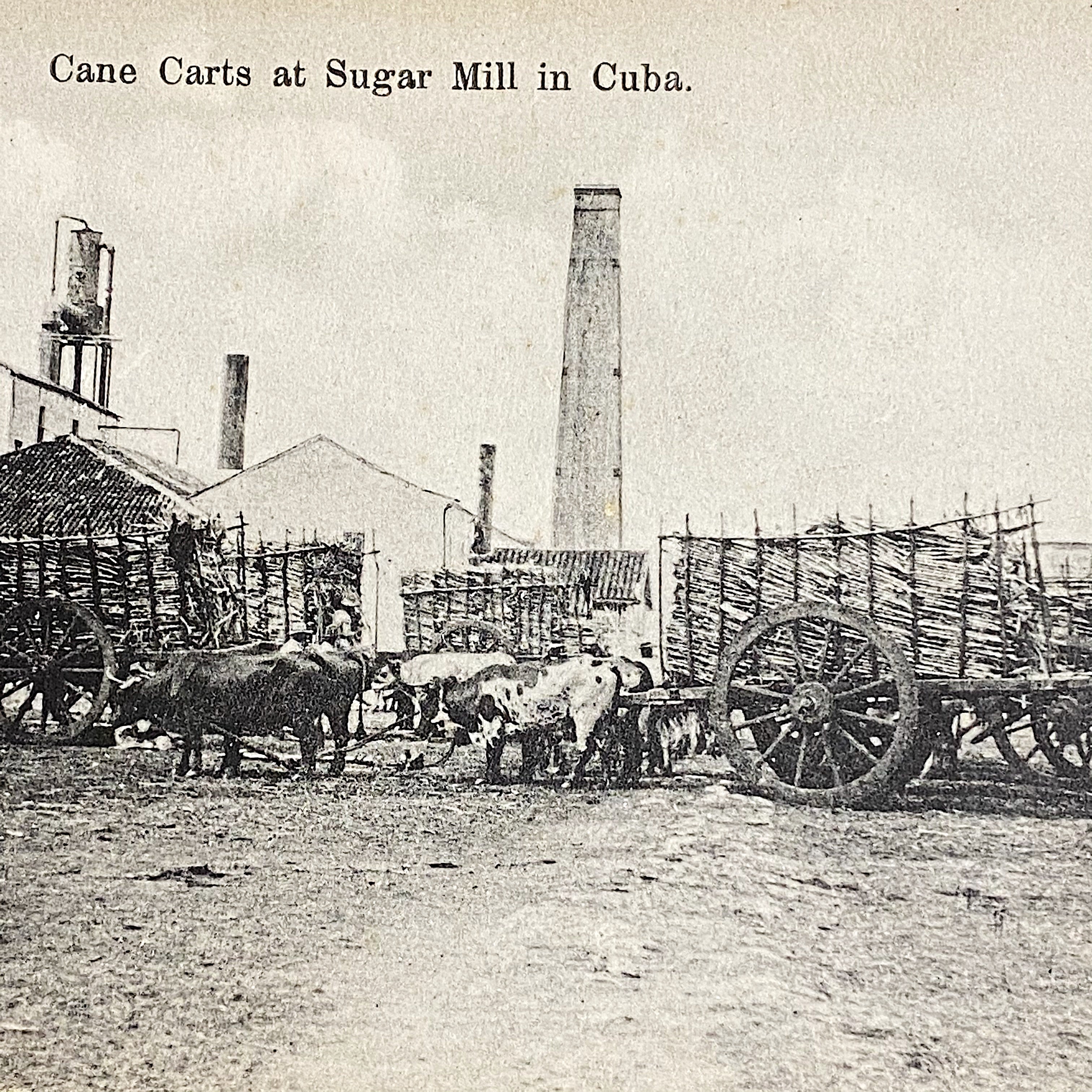 Antique RPPCs of Sugar Mill Operation in Cuba -  Early 1900s