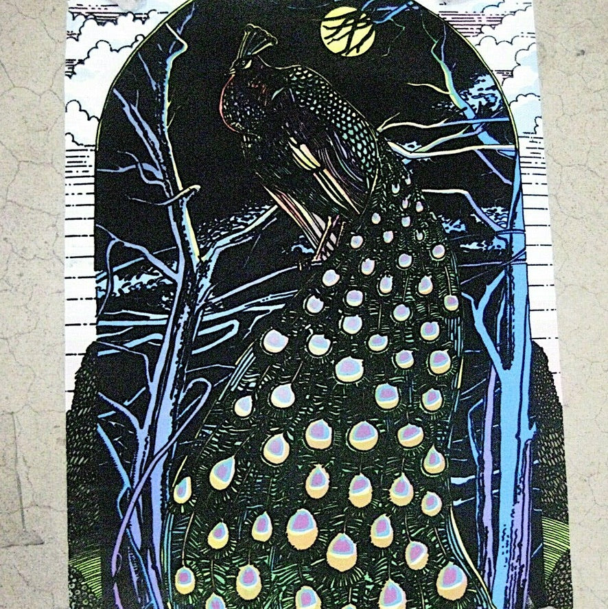 1970s NOS Peacock Black Light Poster | Pro Arts Inc