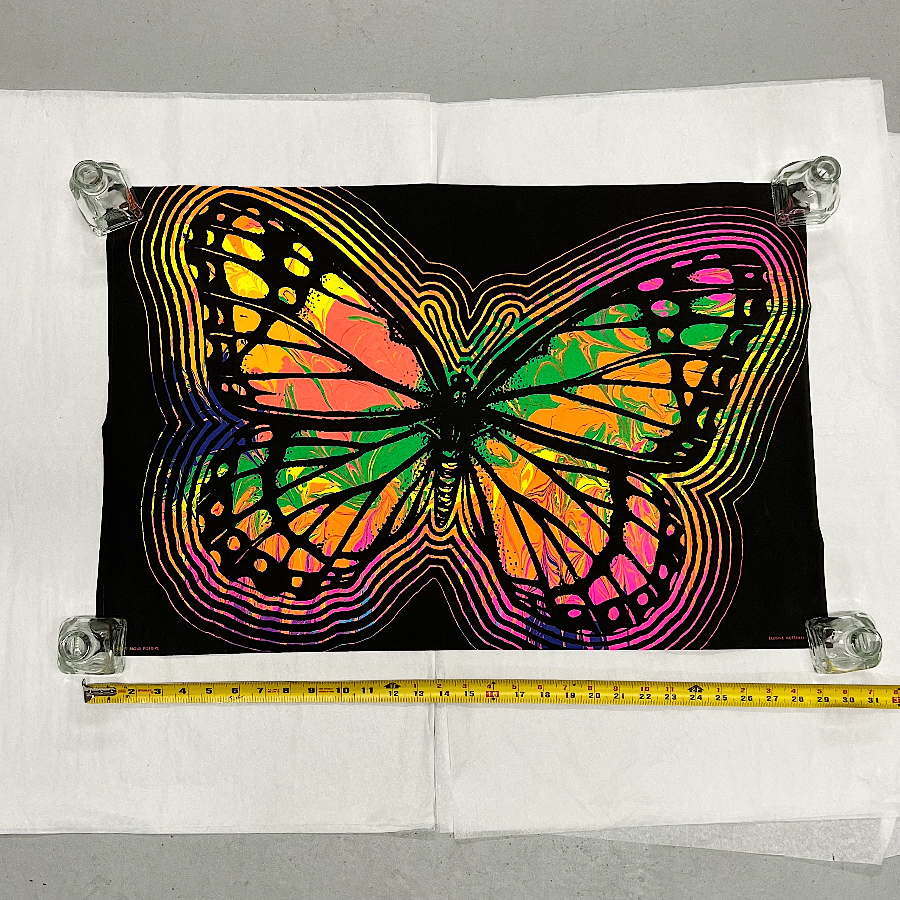 1970s Black Light Poster of Elusive Butterfly | Nova Posters