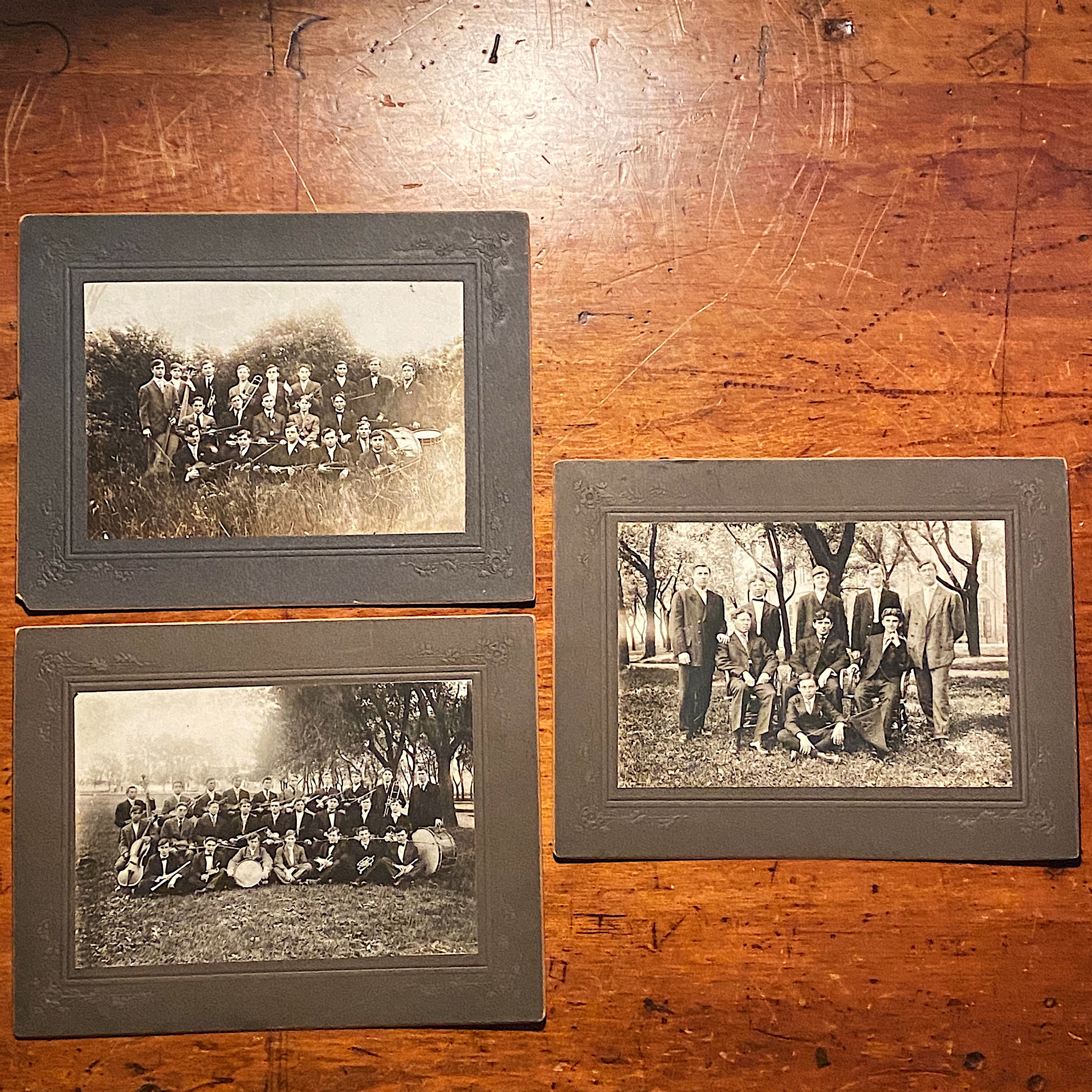 Antique Photographs of Orchestra in Weeds | Early 1900s