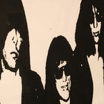 Rare Ramones Poster from Amsterdam Concert - 1987 - Punk Rock Memorabilia - New York Music Scene 