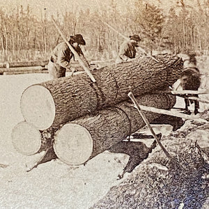 Rare Antique Logging Photographs from 1860s - Louis Hill Estate - Elias Moses Camp Minnesota Rum River - Rare Occupational Logging Camp Photos