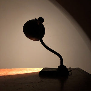 Antique Gooseneck Desk Lamp with Unusual Shade - 1920s Art Deco Period - Industrial Light
